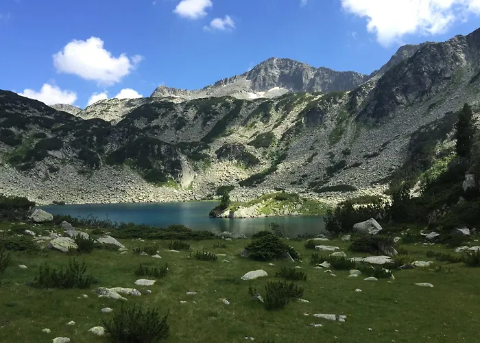 1br With Mountain View Near The Gondola Apartment *